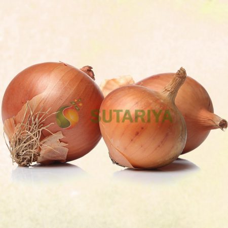 Fresh Onion