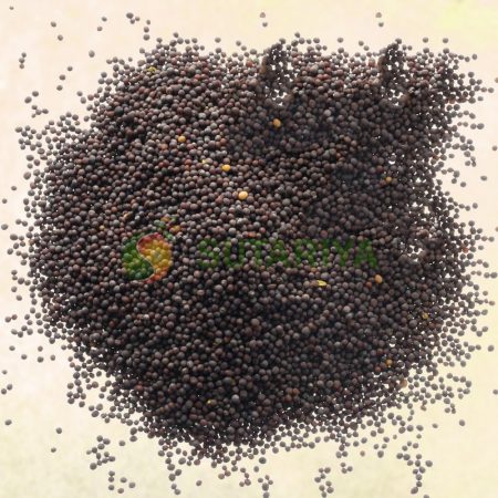 Mustard Seed